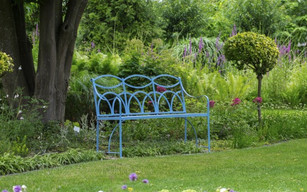 Blue bench in the district educational garden, Burgsteinfurt, Münsterland, North Rhine-Westphalia,