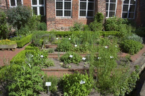 Benediktinerinne kloster Lüne, Benedictine monastery, monastery garden, Grapengießerstraße, Old