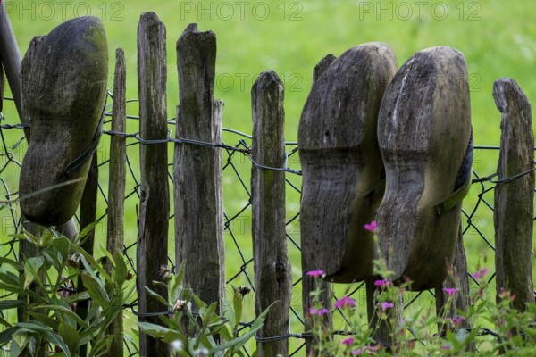 Old clogs on a garden fence
