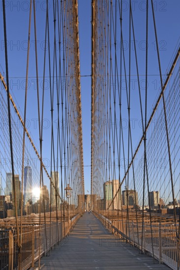 View in flight from cable stays of the Brooklyn Bridge, deserted in the morning, Brooklyn Bridge