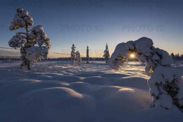 Winter landscape, Muddus National Park, Laponia World Heritage Site, Norrbotten, Lapland, Sweden,