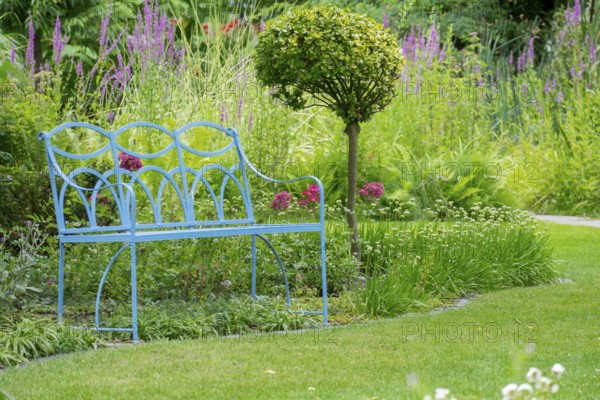 Blue bench in the district educational garden, Burgsteinfurt, Münsterland, North Rhine-Westphalia,
