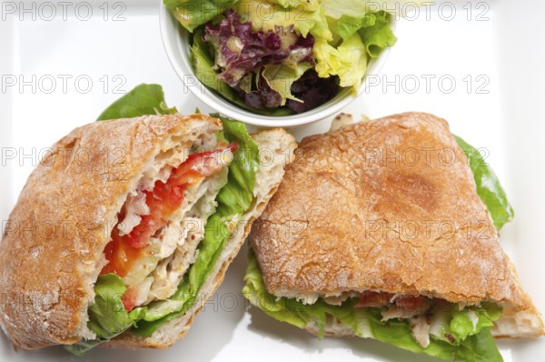 Italian ciabatta panini sandwich with chicken and tomato