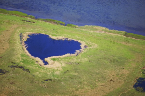East coast, heart-shaped pond, Hiddensee Island, Baltic Sea, Mecklenburg-Western Pomerania,