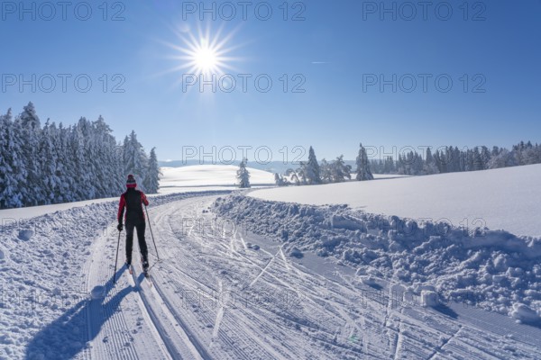 Pretty active senior woman cross-country skiing in freshly fallen powder snow in the Allgäu Alps