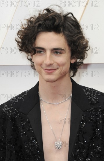 Timothée Chalamet at the 94th Annual Academy Awards held at the Dolby Theatre in Los Angeles, USA