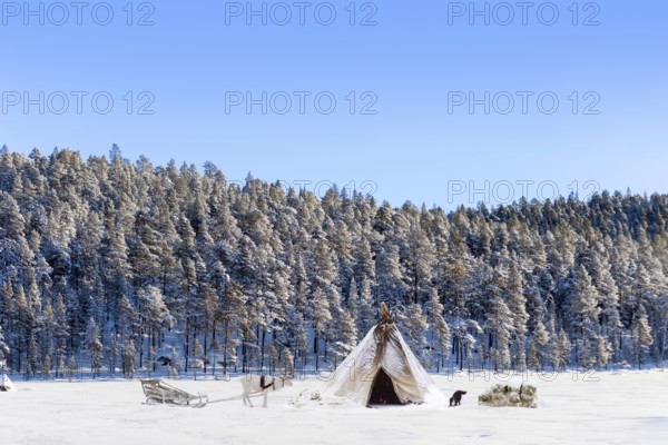 Tent with reindeer and dog in snowy Ivalo, Finland, Europe