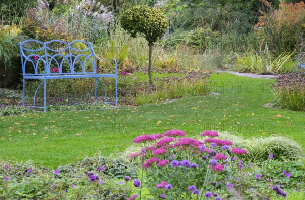 Blue bench in the district educational garden, Burgsteinfurt, Münsterland, North Rhine-Westphalia,