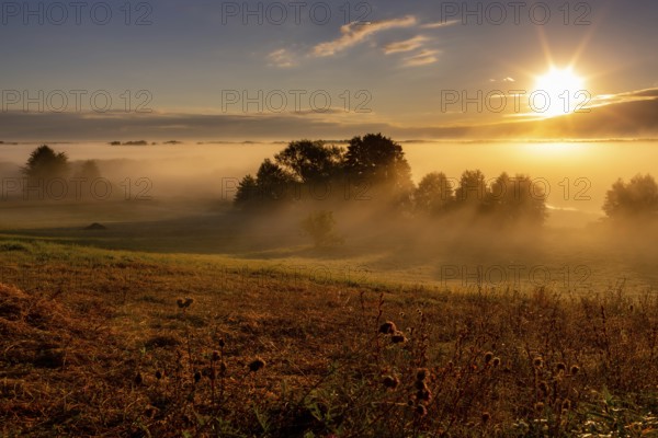 Sunrise on the Biebrza River in the Biebrza National Park. Burzyn, Podlasie, Poland, Europe