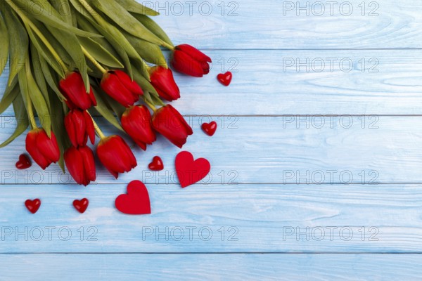 Red tulips and hearts on blue wooden table. Top view with copy space