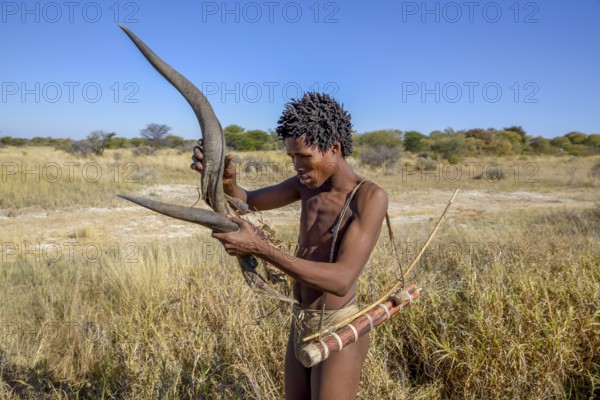 Bushman of the Ju/? Hoansi-San in a traditional hunt with bow and arrow, inspects the horn of a