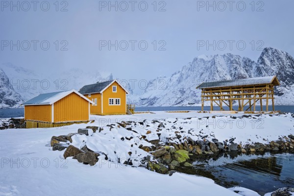 Traditional yellow rorbu house in drying flakes for stockfish cod fish in winter. Sakrisoy fishing