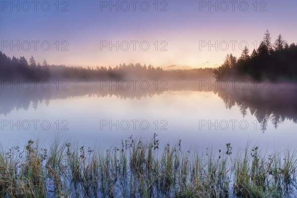 Atmospheric dawn with wafts of mist over the mirror-smooth moorland lake Étang de la Gruère in the