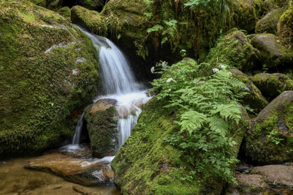 Gertelbach Waterfalls, Gertelbach Gorge, Bühlertal, Rastatt, Black Forest, Baden-Württemberg,