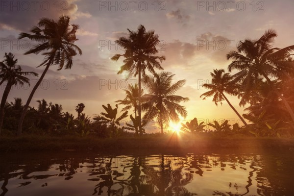 Kerala travel tourism background, Sunset on Kerala backwaters. Allepey, Kerala, India. Lens flare