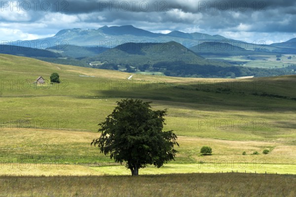 Plateau of Cezallier in the foreground, Massif du Sancy in the background. Auvergne volcanoes