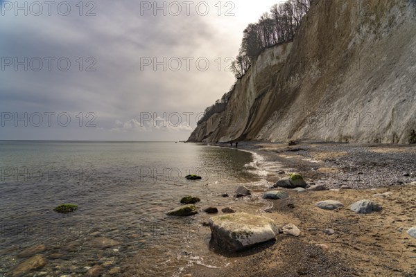 The famous chalk cliffs on the Baltic Sea coast in Jasmund National Park, Ruegen Island,