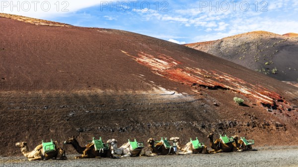 2016, Timanfaya National Park, Lanzarote, Fire Mountains of Timanfaya National Park, Montanas del