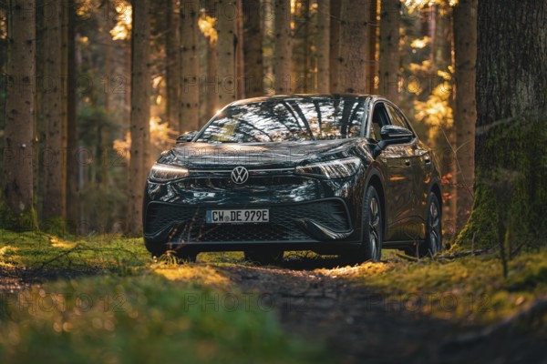 Black car on a forest path, surrounded by dense trees, car sharing vehicle Deer Mobility, electric