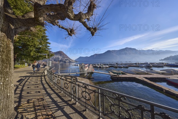 Lakeside promenade, lake, railing with decorations, sidelight, shadow, trees, hill, marina, blue