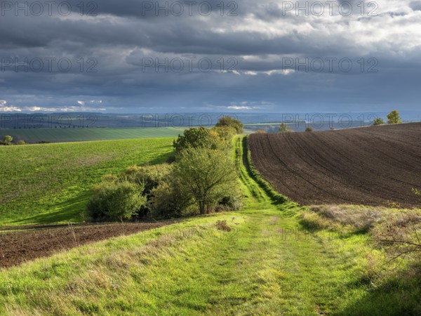 Field path through field landscape in the evening light, battlefield of 1806, Battle of Jena and