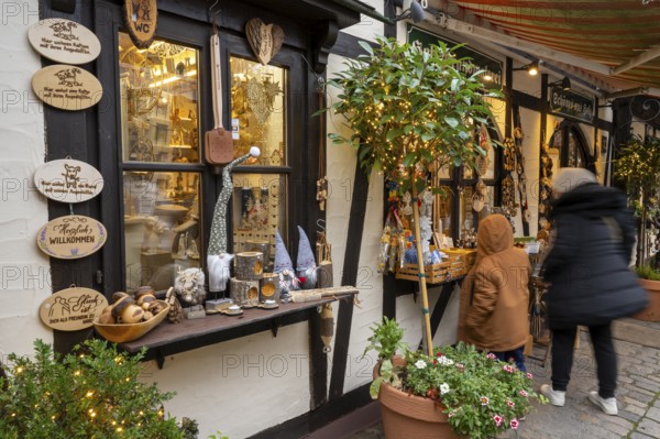 Shop with decorative items made of wood, Handwerkerhof am Königstor, Nuremberg, Middle Franconia,