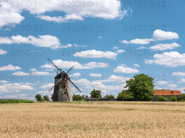 Landscape with windmill and wheat field under blue sky with cumulus clouds, tower windmill, Dutch