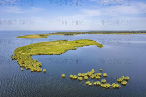 Aerial view, drone photo: Lysa Wyspa island covered with reeds, Kahleberg, Nowe Warpno, Szczecin