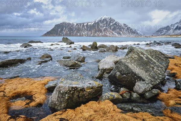 Rocky coast of fjord of Norwegian sea in winter with snow. Skagsanden beach, Lofoten islands,