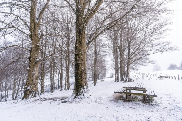 Snowy sunrise at the picnic area next to the refuge of Mount Aizkorri in Gipuzkoa. Snowy landscape