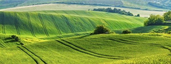 European rural wallpaper, panorama of Moravian rolling fields landscape, Moravia, Czech Republic,