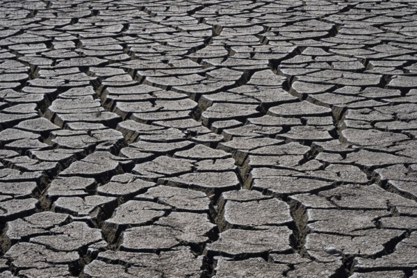 Heavily desiccated soil of Lake Neusiedl, Lake Neusiedl-Seewinkel National Park, Illmitz,