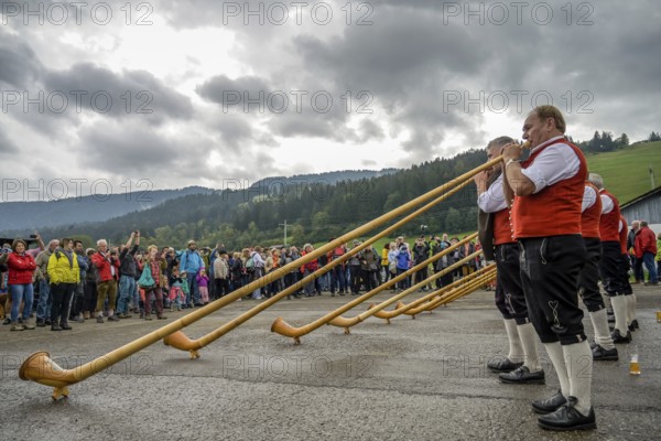 16. 09. 2022. alphorn blowers at the Almabtrieb, cattle seperation in Thalkirchdorf, Markt