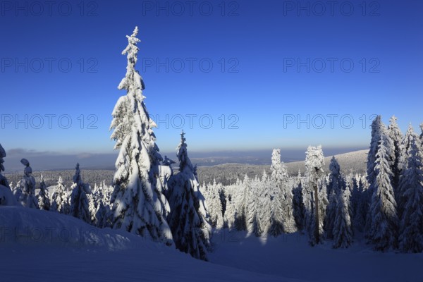Winter landscape in the Fichtelgebirge, Bayreuth district, Upper Franconia, Bavaria, Germany,