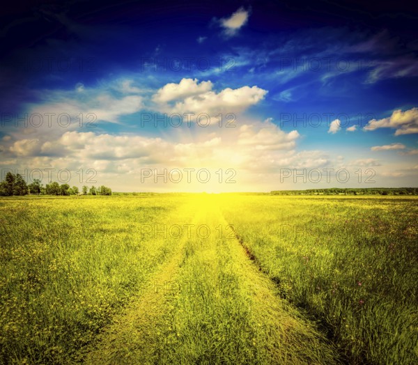 Vintage retro effect filtered hipster style image of spring summer background, rural road in green