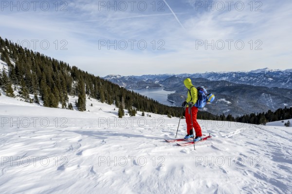 Ski tourers climbing Simetsberg, view of Walchensee, Estergebirge, Bavarian Prealps, Bavaria