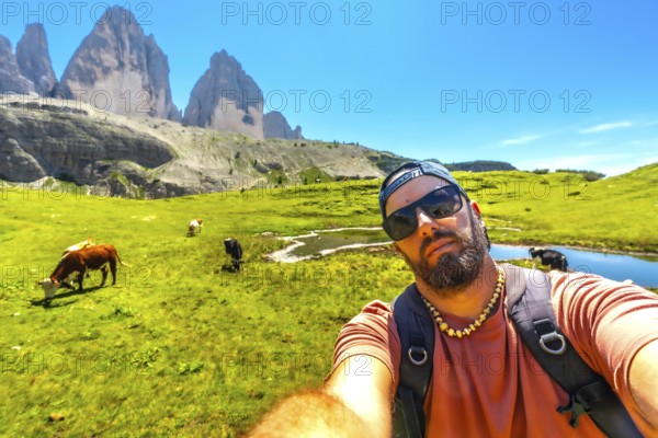 Backpacker taking a selfie with cows grazing in a green meadow in the tre cime di lavaredo national