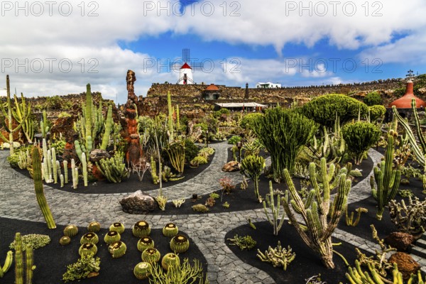 2016, Guatiza, Lanzarote, Jardin de Cactus by Cesar Manrique, ESP, Spain, Canary Islands, Canary