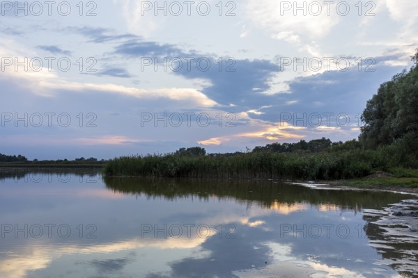 Lake Varchentin, evening mood on the shore, Mecklenburg Lake District, Mecklenburg-Western