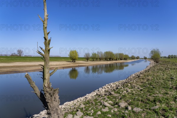 The Gierthausen oxbow lake near Schenkenschanz, Kleve, on the Lower Rhine, North Rhine-Westphalia,