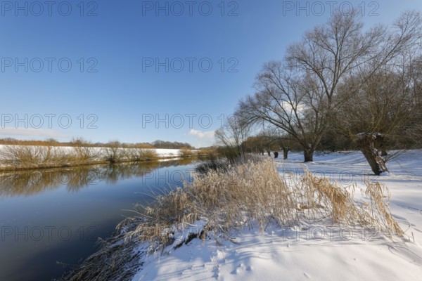 Dorsten, North Rhine-Westphalia, Germany - Sunny winter landscape in the Ruhr area, ice and snow on