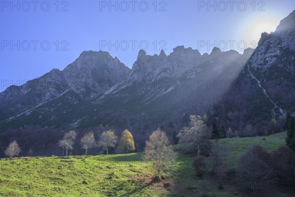 Sunbeam illuminates trees and meadow along the path of the big trees in the Piccolo Dolomiti,