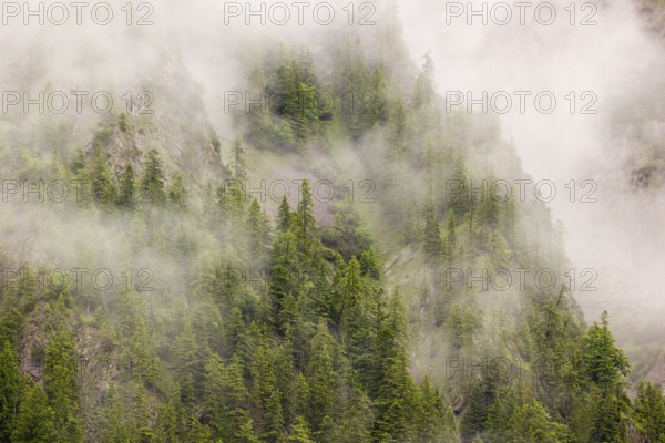 Wisps of mist cover the Karwendel mountains in the Großer Ahornboden nature reserve, Eng Valley,