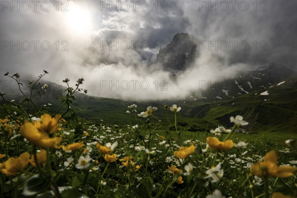 Peaks in the morning light and alpine landscape with dramatic clouds, Lech, Lechquellengebirge,