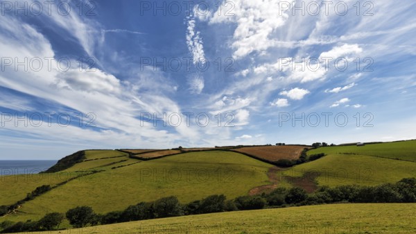 Hilly landscape with fields, meadows, hedges by the sea, spring clouds in summer, Cirrus, Cornwall,
