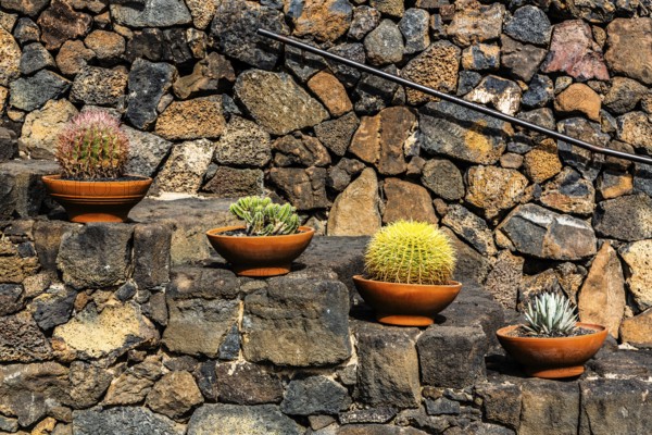 2016, Guatiza, Lanzarote, Jardin de Cactus by Cesar Manrique, ESP, Spain, Canary Islands, Canary