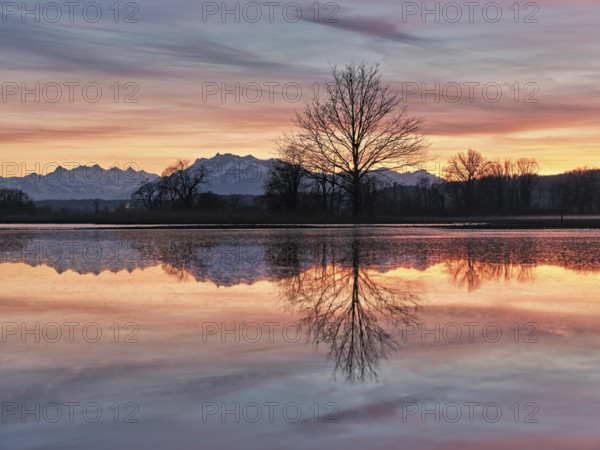 Pilatus reflected in the flooded nature reserve in the evening light, Reussspitz, Hünenberg, Canton