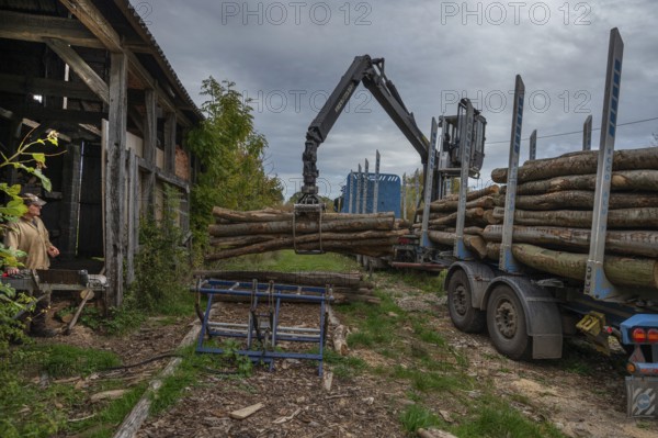 Unloading logs from a log transporter, Othenstorf Estate, Mecklenburg-Western Pomerania, Germany,