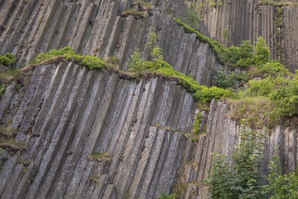 Panska skala, (Mansion/Manor Rock) also called the Varhany (Organ) is an unobtrusive hillock close