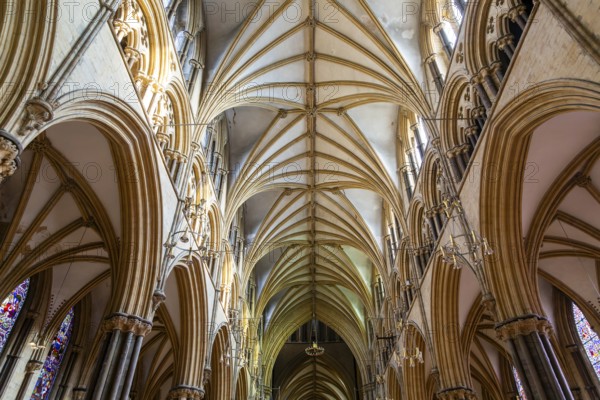 Vaulted nave ceiling roof of medieval Lincoln cathedral interior, city of Lincoln, Lincolnshire,